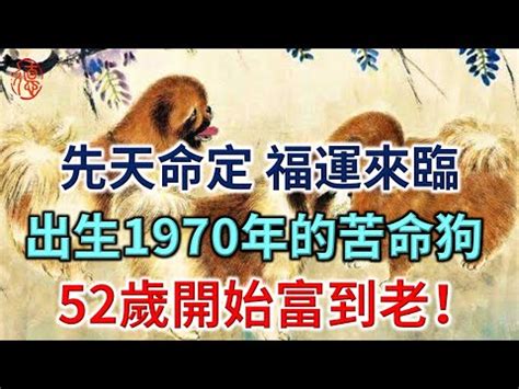 1970生肖配對|屬狗人必看：1970五行解析